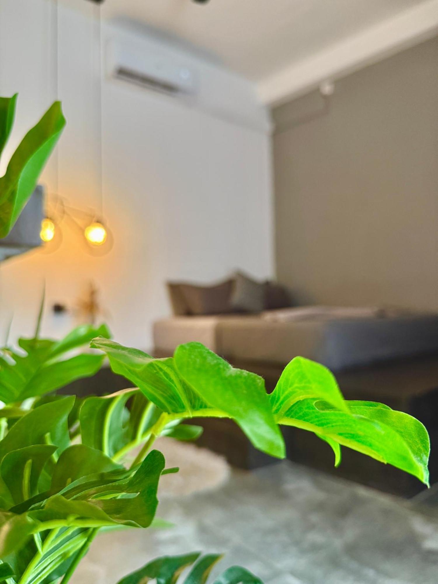The Jini House Hotel อาฮานกามา ภายนอก รูปภาพ