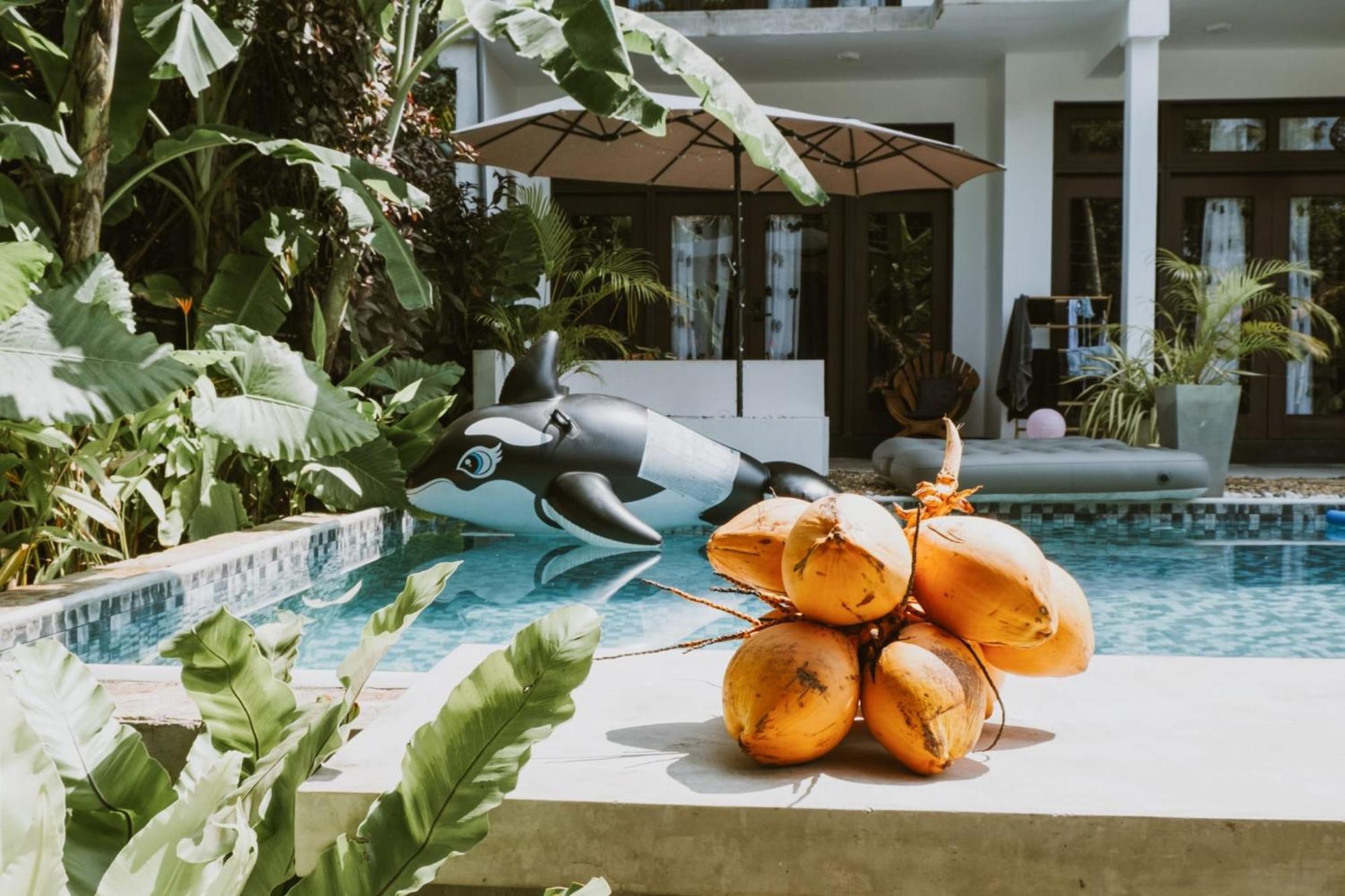 The Jini House Hotel อาฮานกามา ภายนอก รูปภาพ